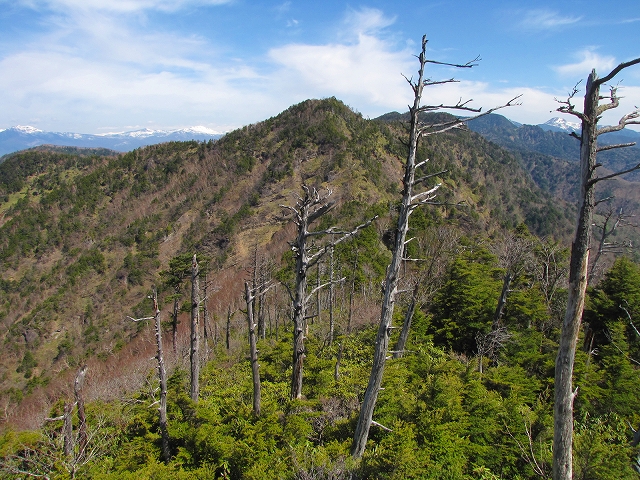 b0097836_14402452.jpg