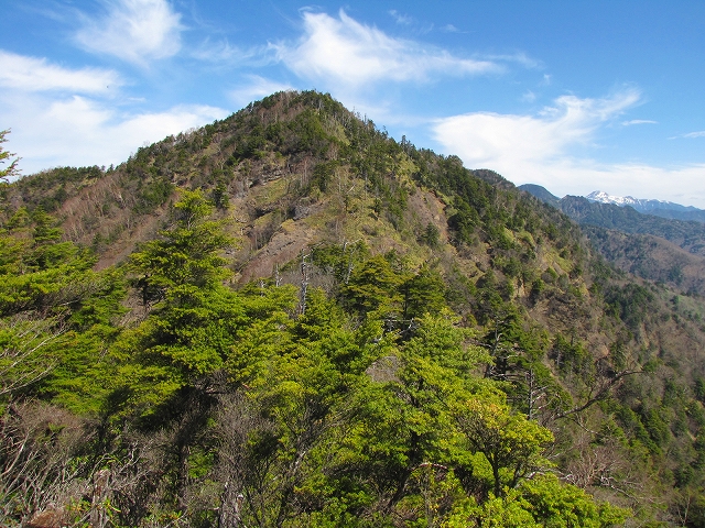 b0097836_14454144.jpg