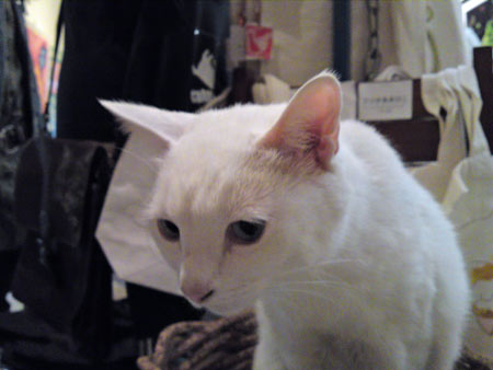 c0132438_1531313.jpg