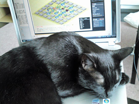 c0132438_15525812.jpg