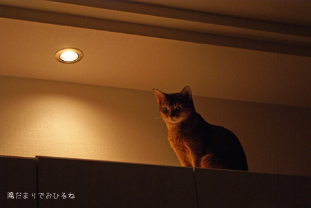 c0132438_16115563.jpg