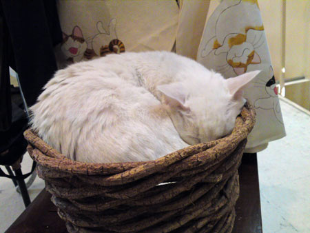 c0132438_16152561.jpg