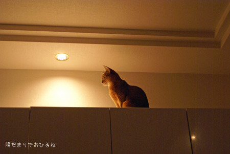 c0132438_1671838.jpg