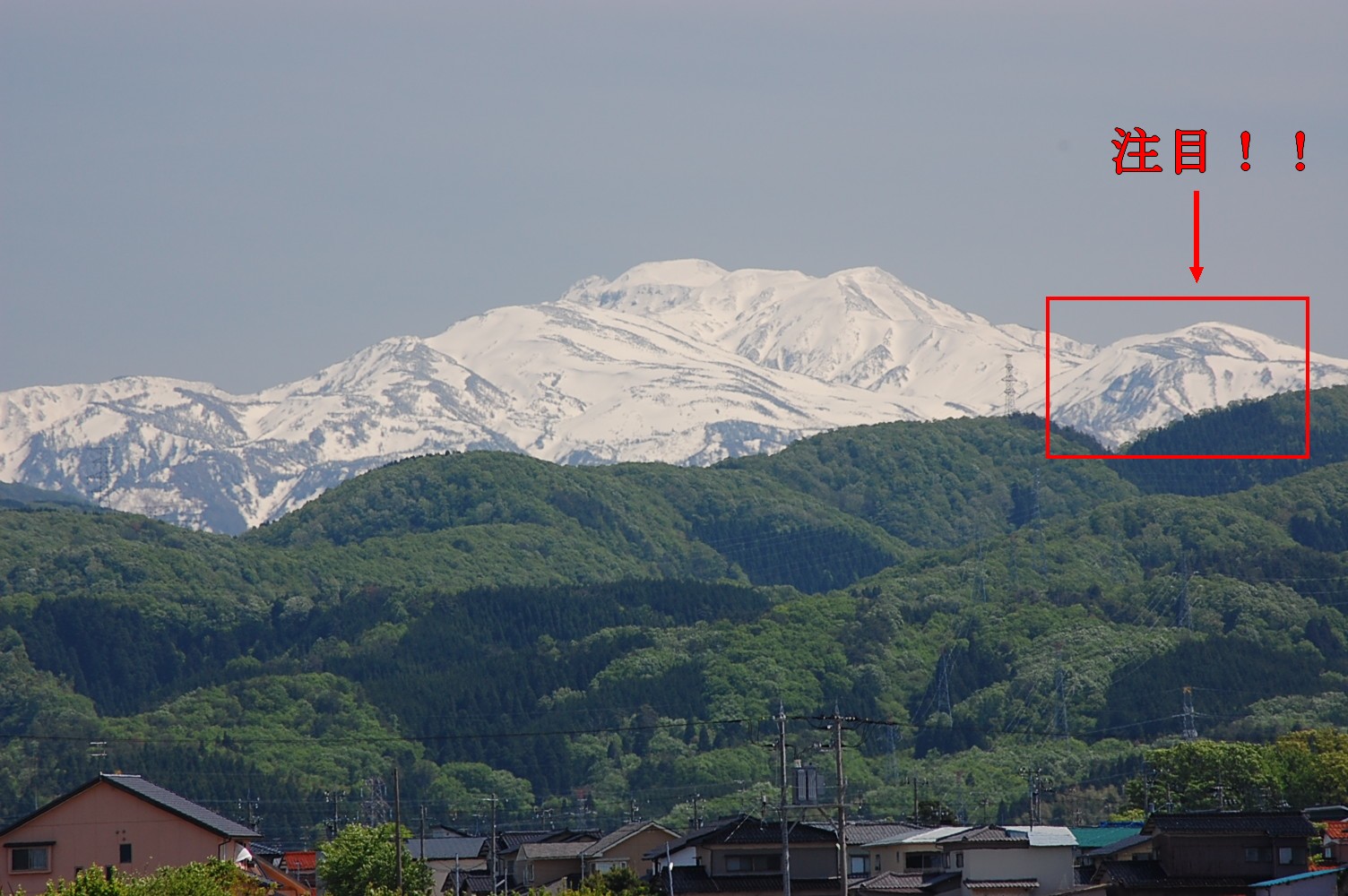 e0055138_01126.jpg