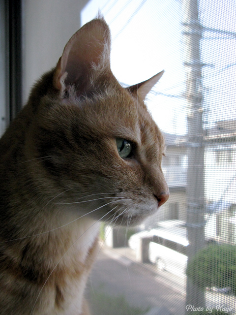 a0117440_1062148.jpg