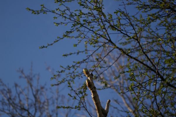 b0160040_1682432.jpg