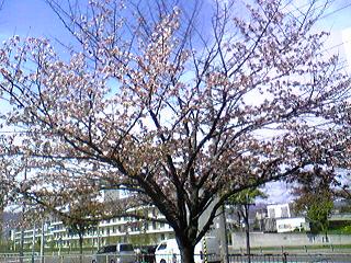 c0227640_21531644.jpg