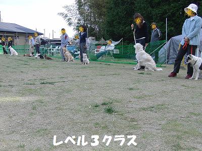 f0186040_20533412.jpg