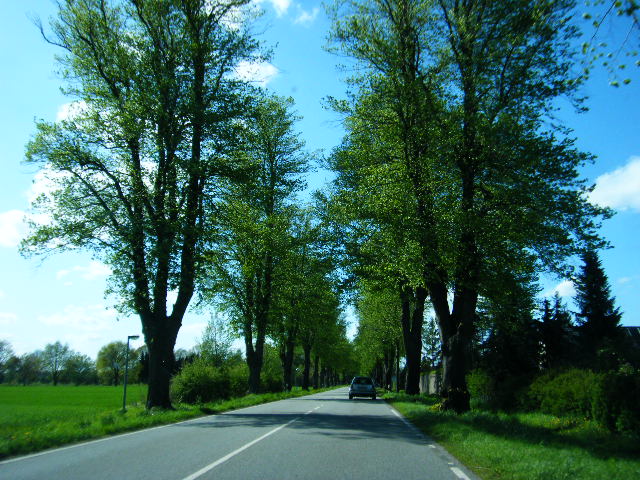 f0210340_457296.jpg