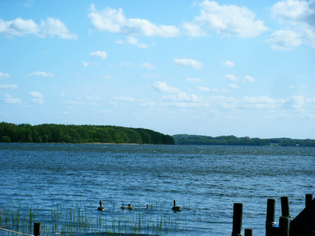 f0210340_5112647.jpg