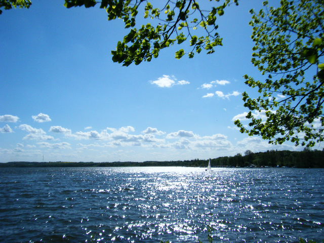 f0210340_547331.jpg