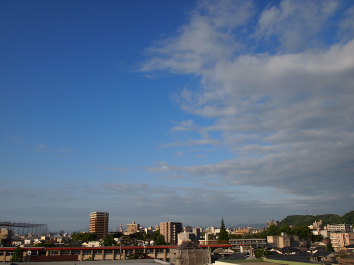 a0146442_7101478.jpg