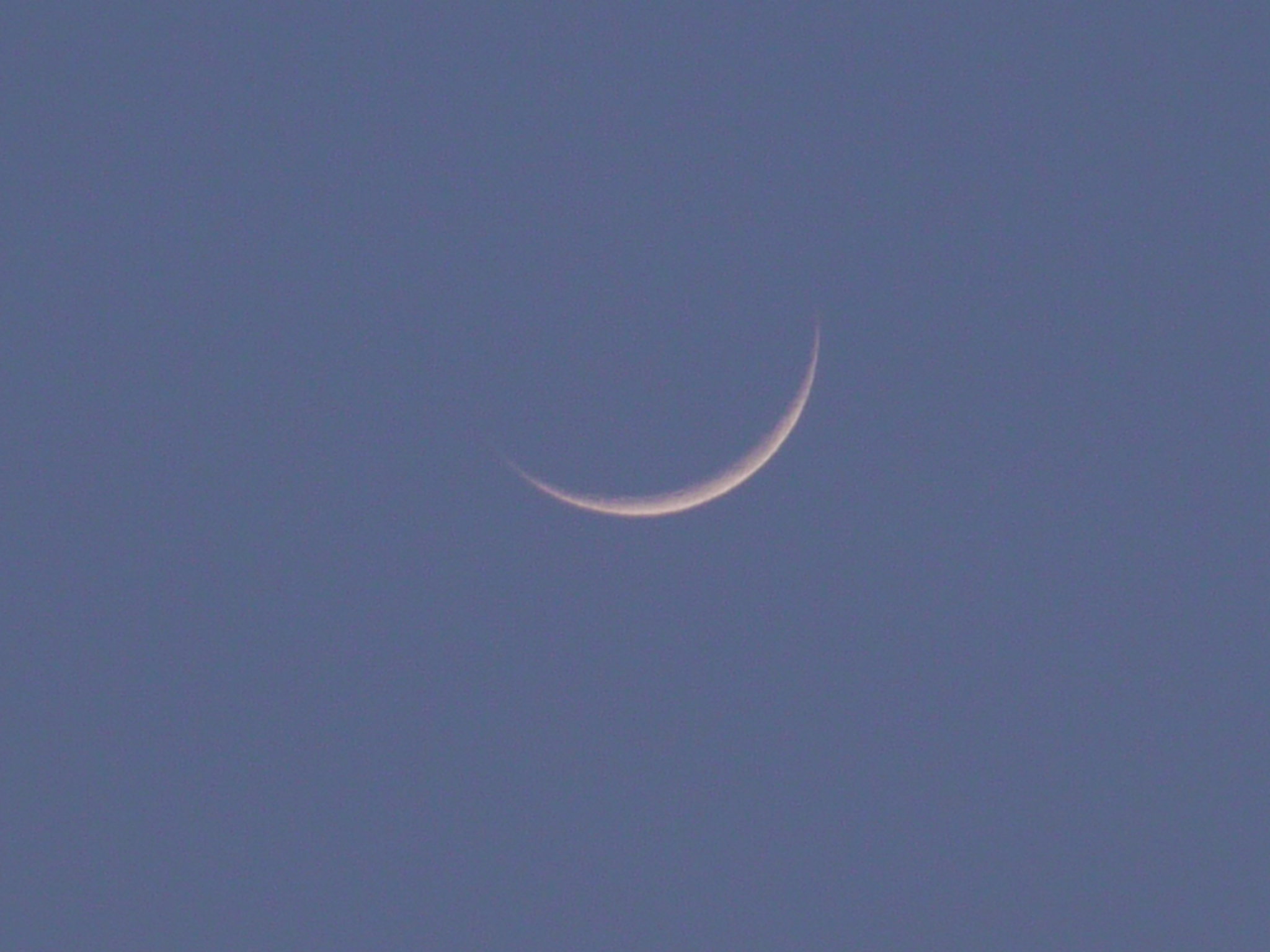 b0190242_07403.jpg