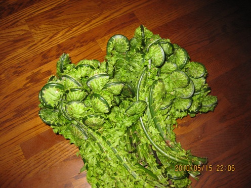 f0190942_833491.jpg