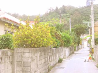f0200342_2593750.jpg