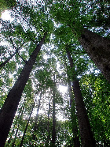 f0094843_1233541.jpg