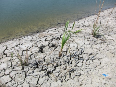 e0020945_19371093.jpg