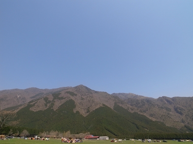 e0126046_2231378.jpg