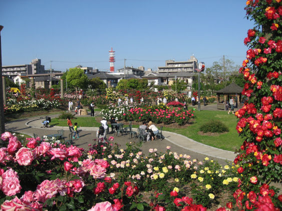 c0073649_16434223.jpg