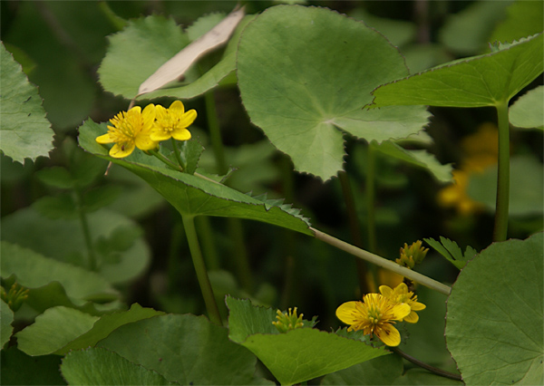 f0214649_552455.jpg