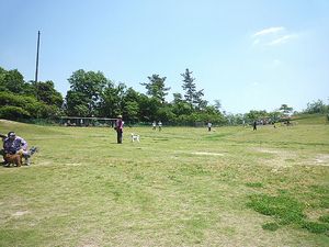 a0130451_19564232.jpg