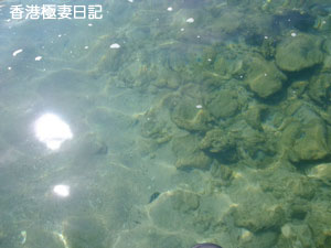 f0190653_9252699.jpg