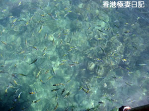 f0190653_927052.jpg