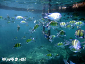 f0190653_9275692.jpg