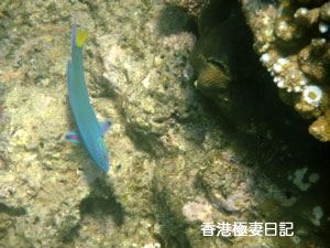f0190653_929129.jpg