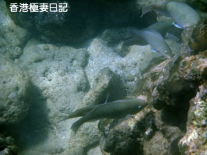 f0190653_9293984.jpg