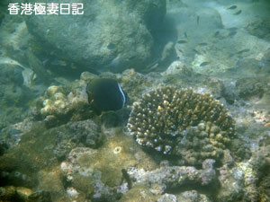 f0190653_9295281.jpg