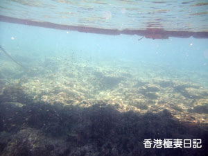 f0190653_9312629.jpg