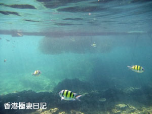 f0190653_9313843.jpg