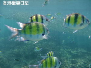 f0190653_9321170.jpg