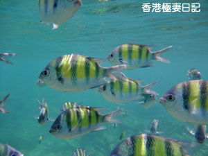 f0190653_9323251.jpg