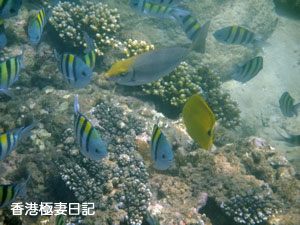 f0190653_9325395.jpg