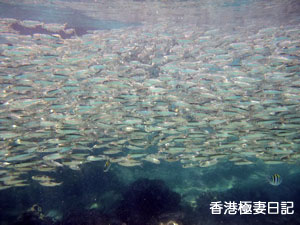 f0190653_9331595.jpg