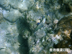 f0190653_9334258.jpg