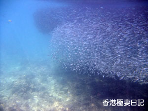 f0190653_9342135.jpg