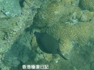 f0190653_9343412.gif