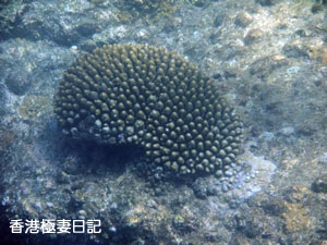 f0190653_9345796.jpg