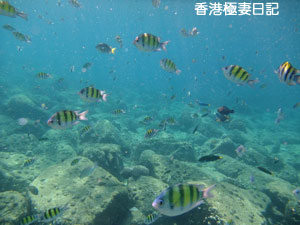 f0190653_9351315.jpg