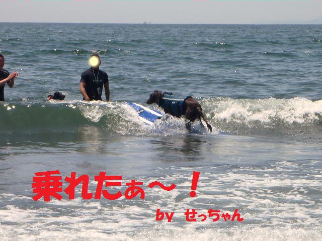 a0104464_12162715.jpg