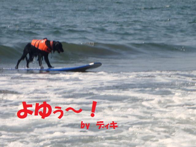a0104464_12204323.jpg