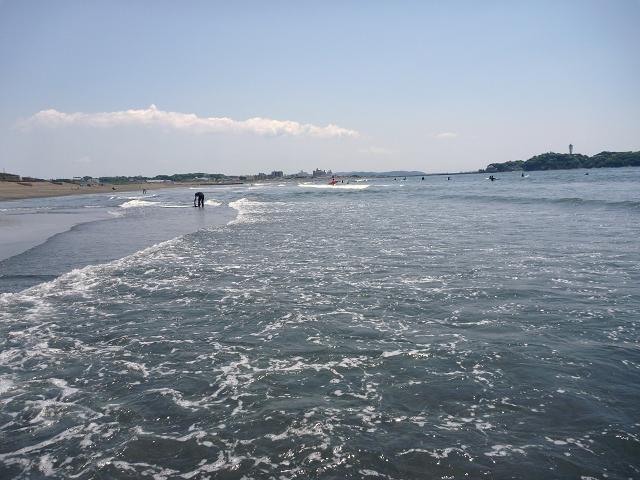 a0104464_1281635.jpg
