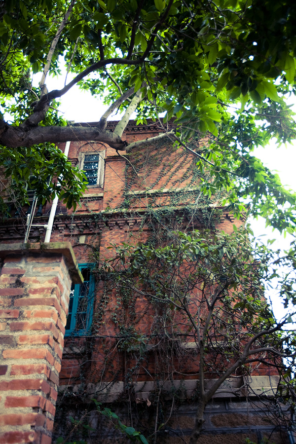 c0010764_023027.jpg