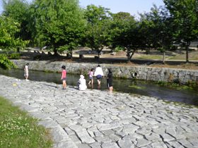e0197164_9242099.jpg