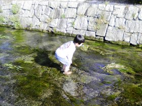e0197164_9344773.jpg