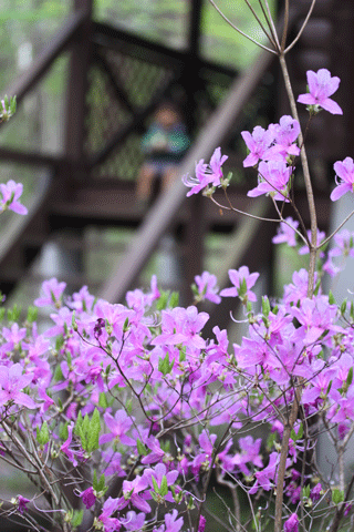 f0107364_010274.gif