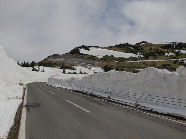 d0010065_21363350.jpg